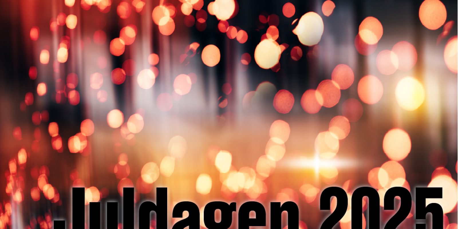 juldagen-2025-ligg